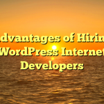 Advantages of Hiring WordPress Internet Developers