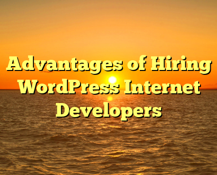 Advantages of Hiring WordPress Internet Developers