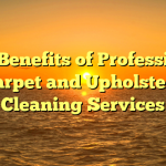 The Benefits of Professional Carpet and Upholstery Cleaning Services