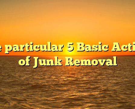 The particular 5 Basic Actions of Junk Removal