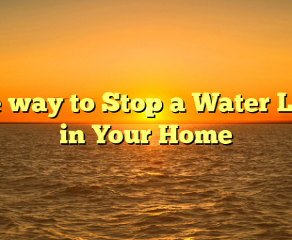 The way to Stop a Water Leak in Your Home