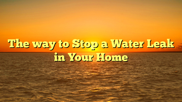 The way to Stop a Water Leak in Your Home