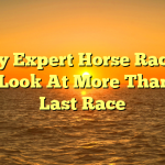 Why Expert Horse Racing Tips Look At More Than The Last Race